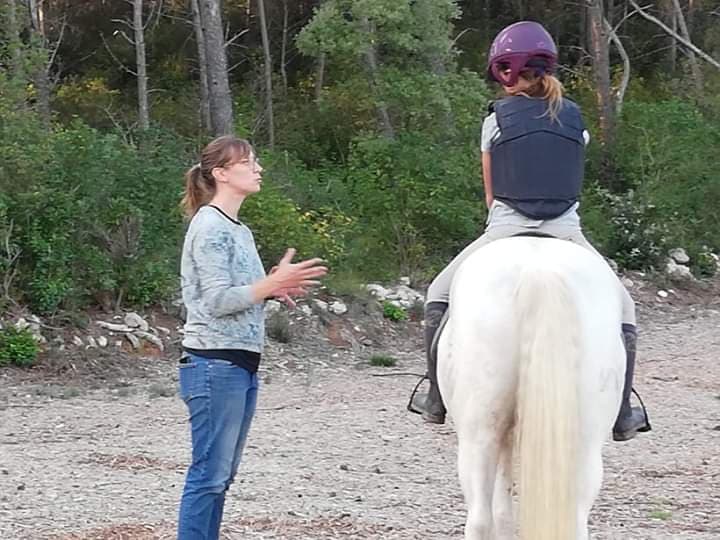 Pourquoi choisir Arion Coaching